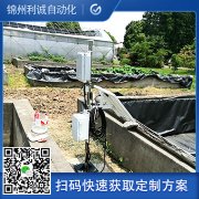 定製化7要素蜜桃视频在线观看入口