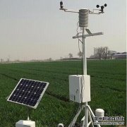 農業自動蜜桃视频在线观看入口促進溫室種植發展