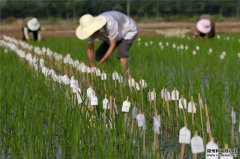 農業大棚環境監測係統參數